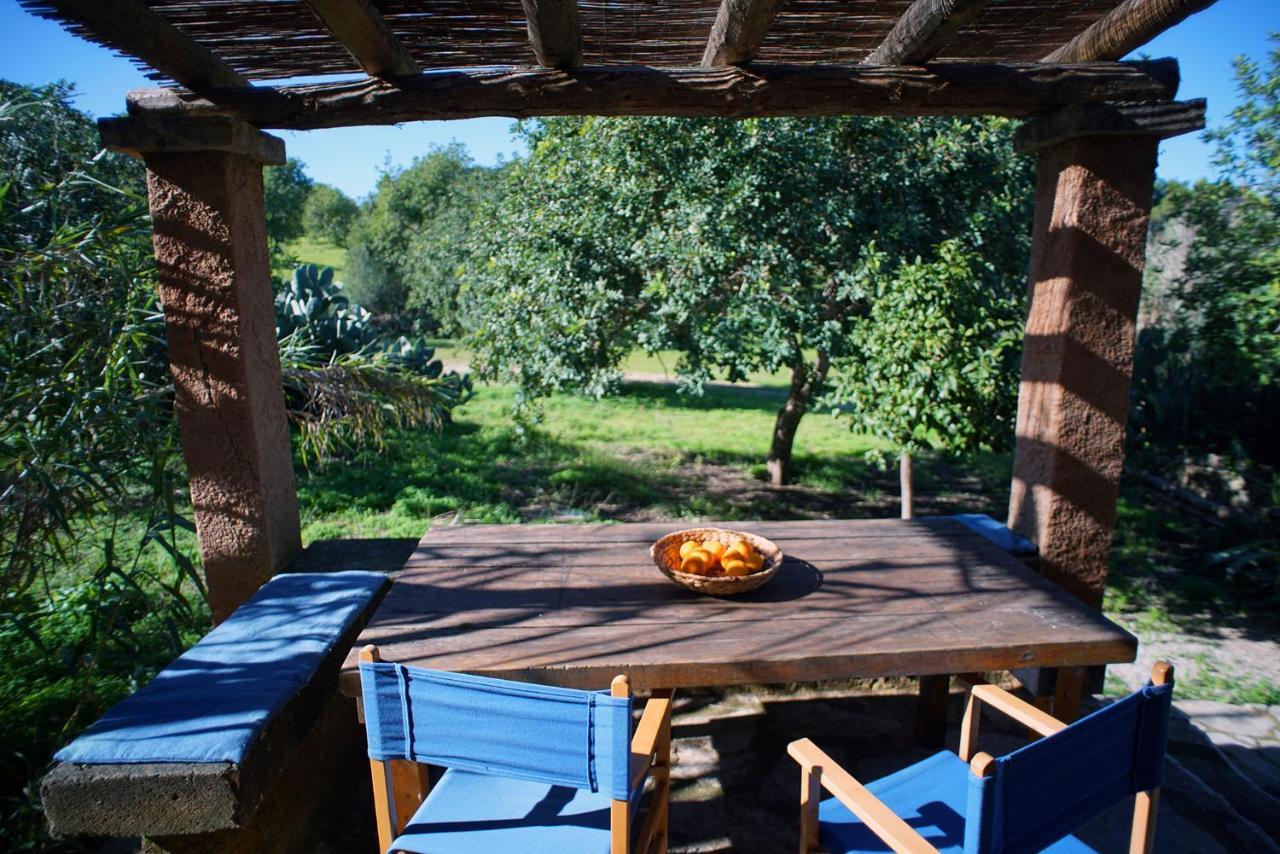Finca Canfirella Portocolom Felanitx Zewnętrze zdjęcie